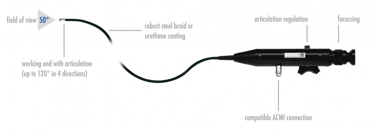 How Do Endoscopes Work Physics